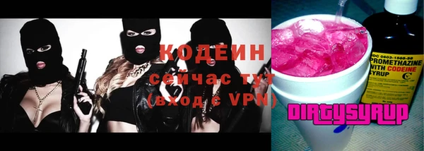 гашик Чердынь