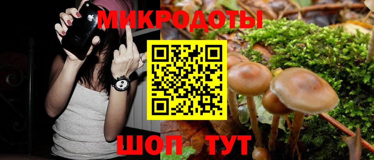 Псилоцибиновые грибы Magic Shrooms Буйнакск